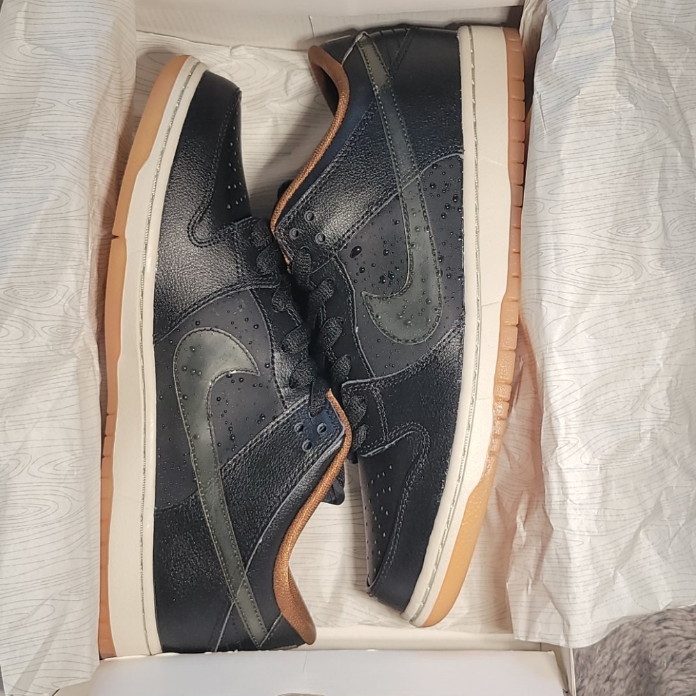Nike SB RAIN